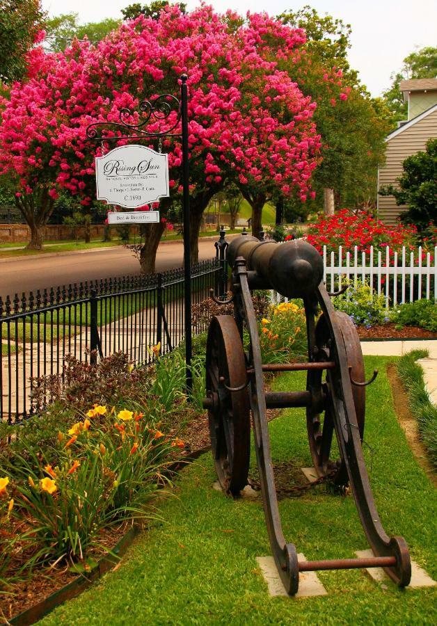 Rising Sun Bed And Breakfast Natchez Kültér fotó